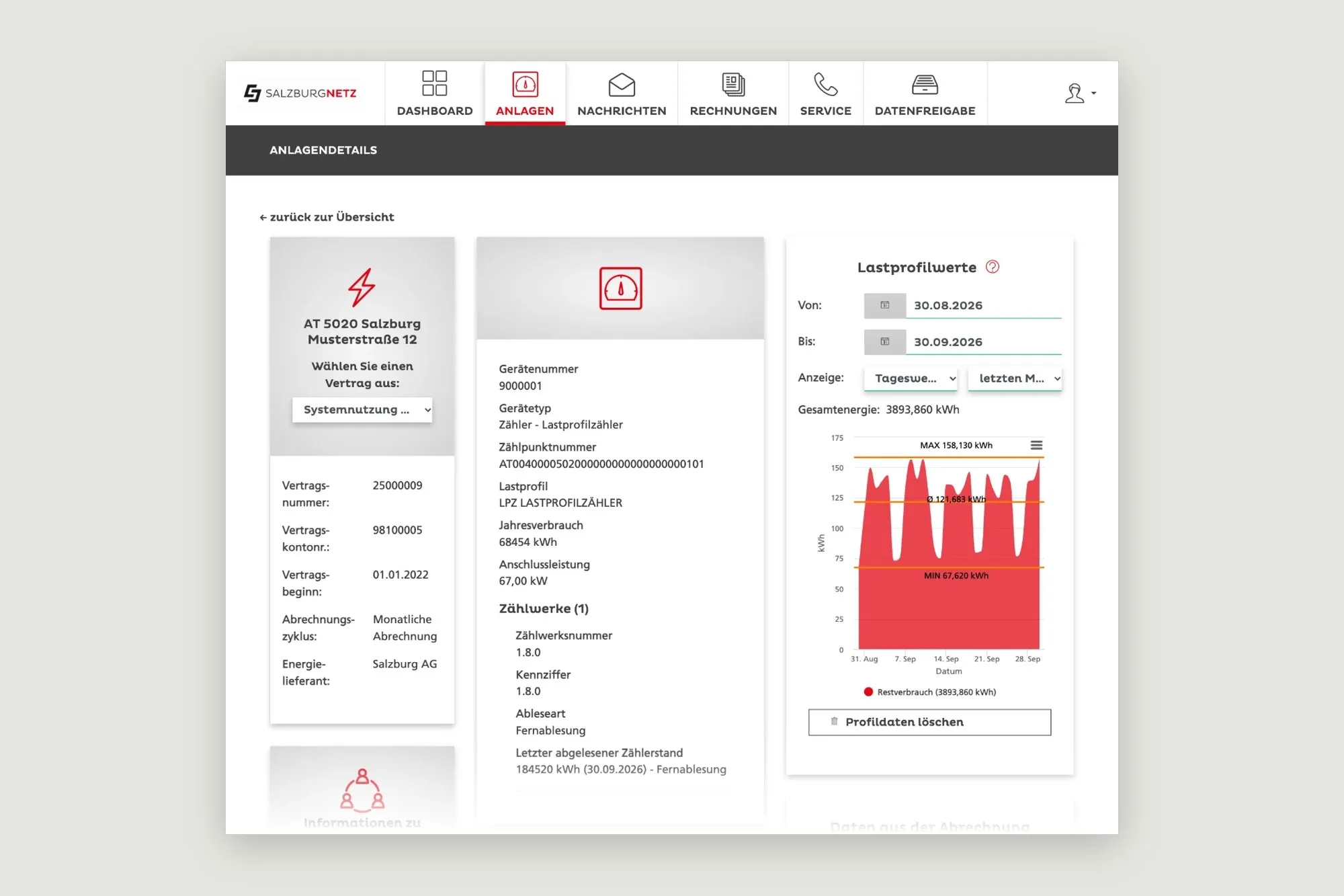 An installation's details in the portal: contract and meter information beside a chart of the last month's consumption.